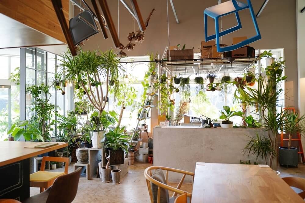 Green&Red Shop Interior